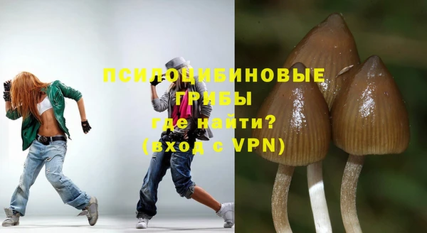 прущие крисы Алексеевка