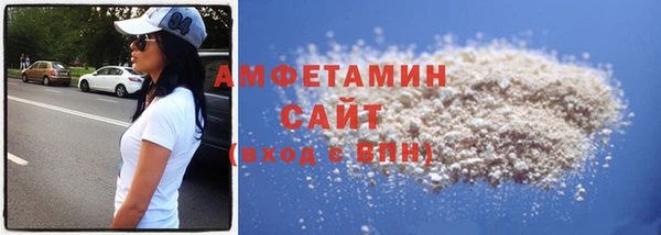 СК Алексин