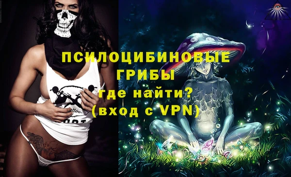 дживик Алзамай