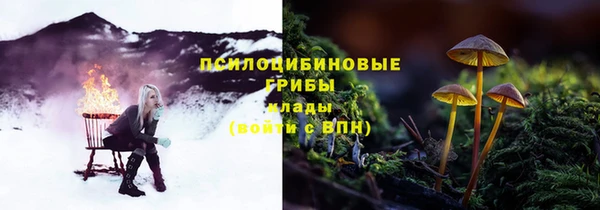 прущие крисы Алексеевка