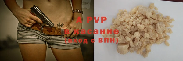 СК Алексин