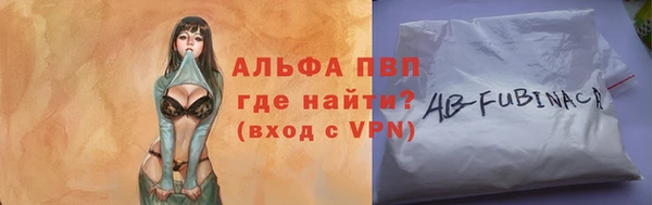 СК Алексин