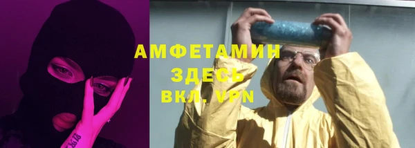 СК Алексин
