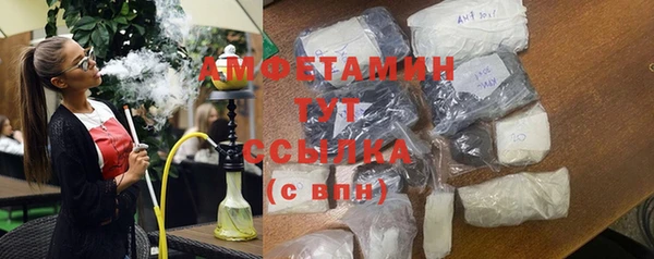 СК Алексин