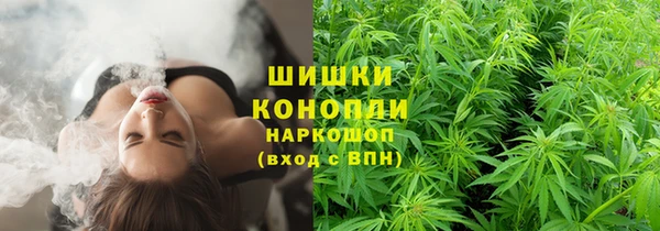дживик Алзамай